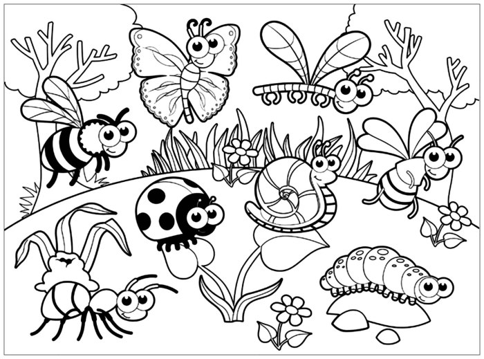 Bugs coloring pages for kids