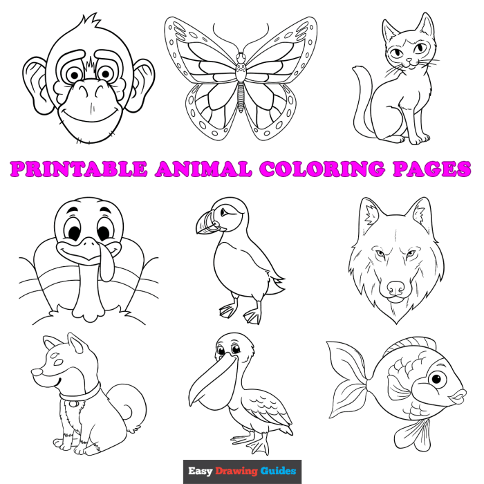 Animal coloring pages for kids printable