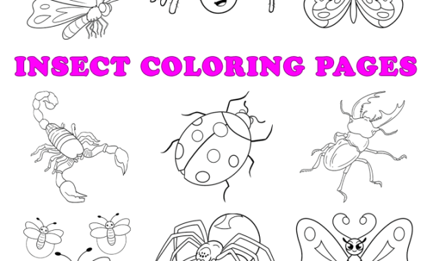 Bugs Coloring Pages for Kids Fun and Learning