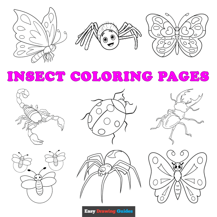 Coloring insect pages kids ladybug